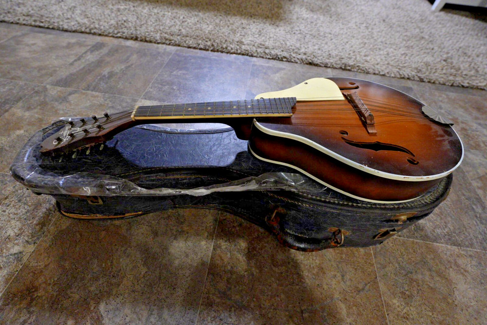 Vintage Silvertone Mandolin -