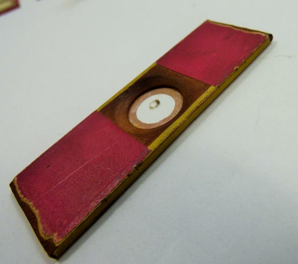 early ANTIQUE AVICULAR SPENCERIO - TEST Microscope Slides -TOPPING ?