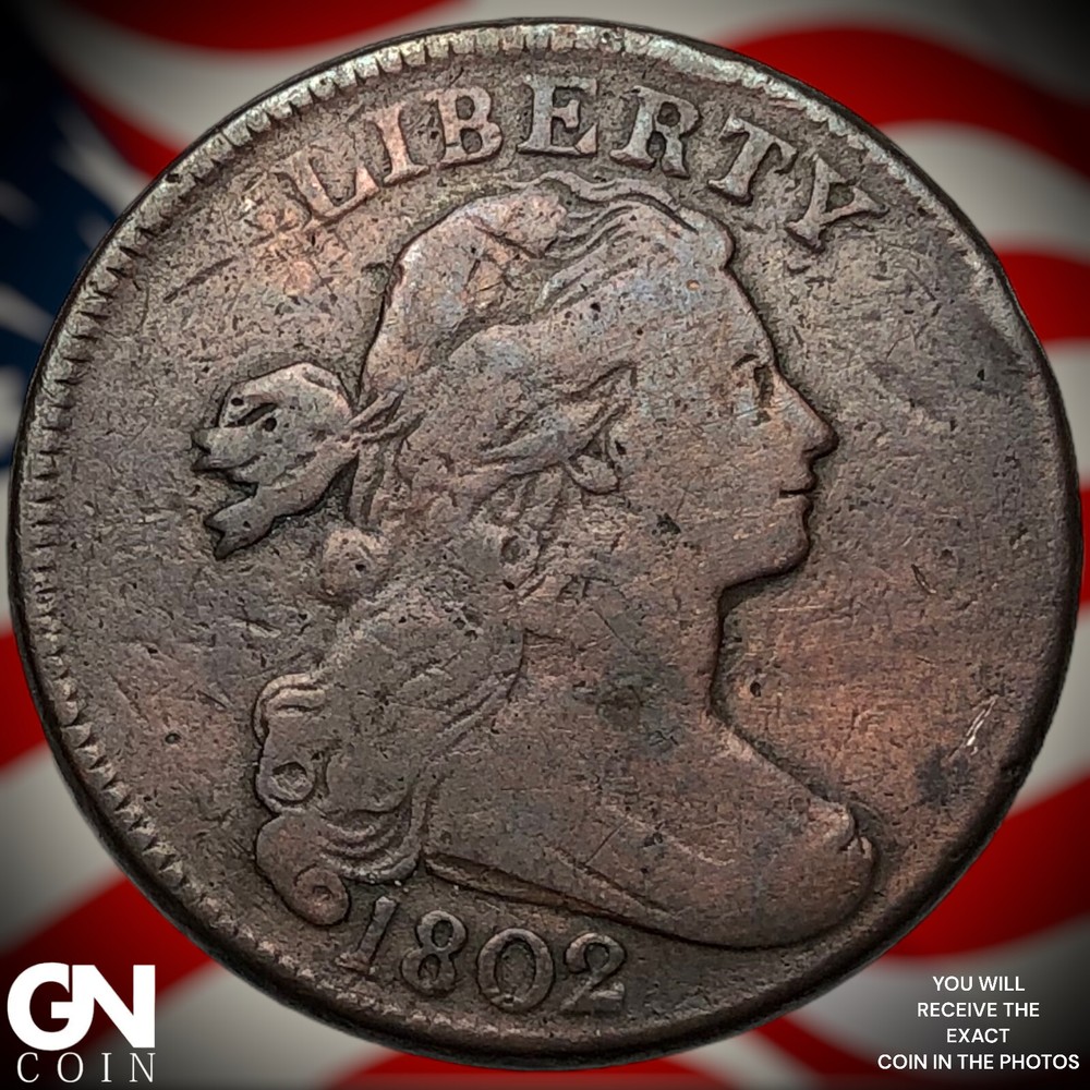 1802 Draped Bust Large Cent X5007