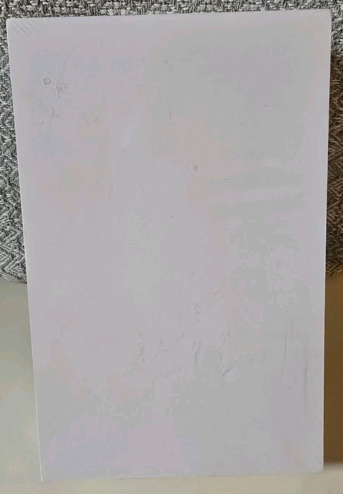 Belifun Comic Book Boards 100 Pack Current