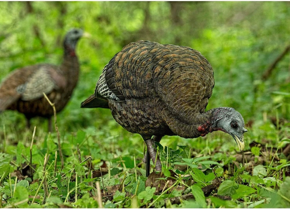 Avian X LCD Feeder Hen Turkey Decoy