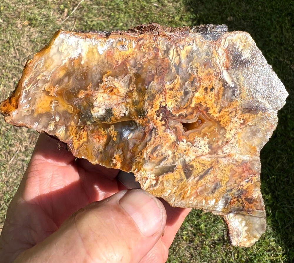 Stunning Graveyard Point Plumey Agate end cut display piece - 287g