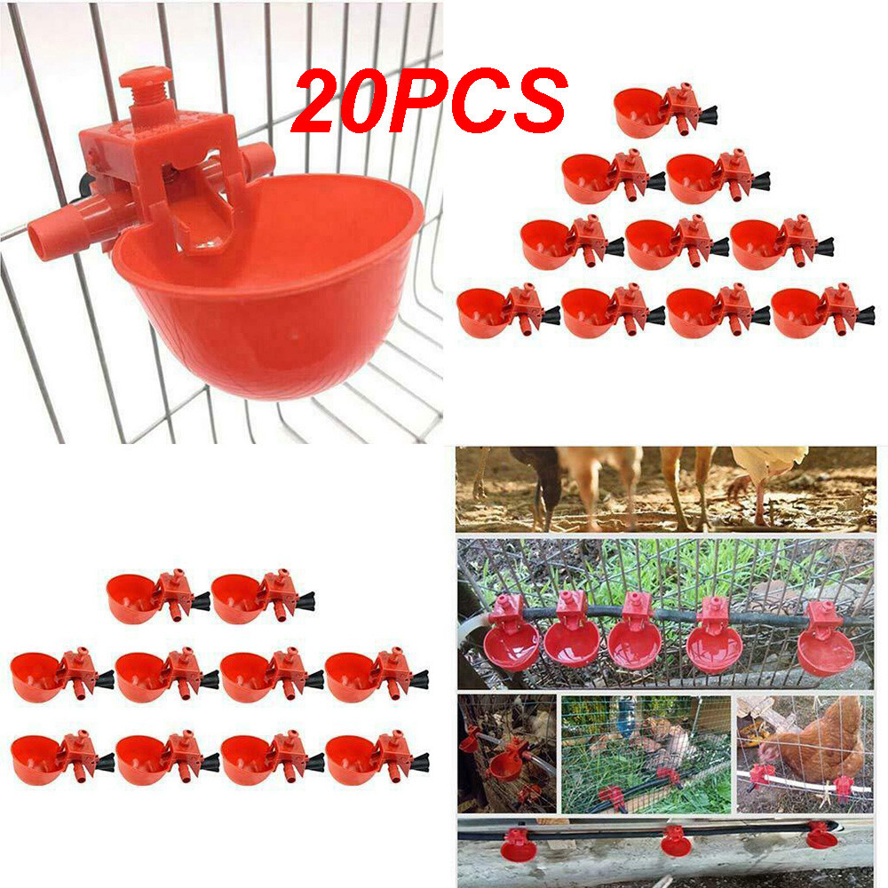 Poultry/Quail Water Drinking Cups Chicken Hen Plastic Automatic Drinker Kit