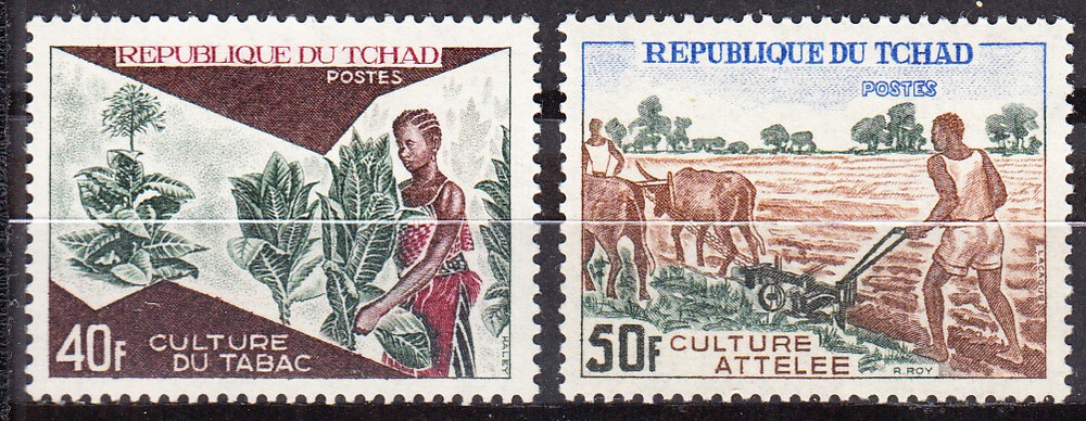 W CHAD 0275-276 AGRICULTURE