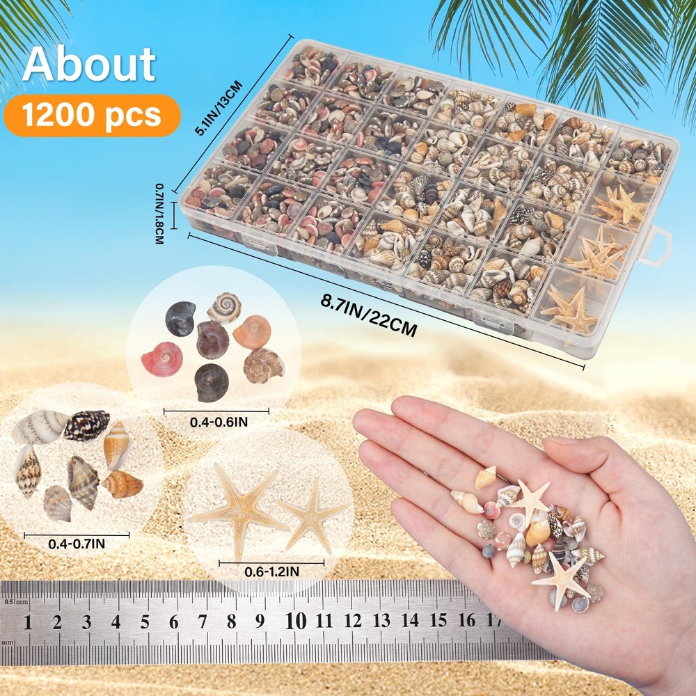 1200 PCS Tiny Seashells& 21 Starfish Mixed Bulk Beach Small Shells for Home Deco