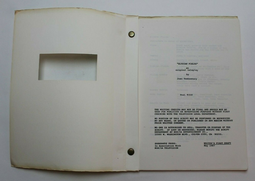 CBS SUMMER PLAYHOUSE / Joan Tewkesbury 1987 TV Script, "Elysian Fields"