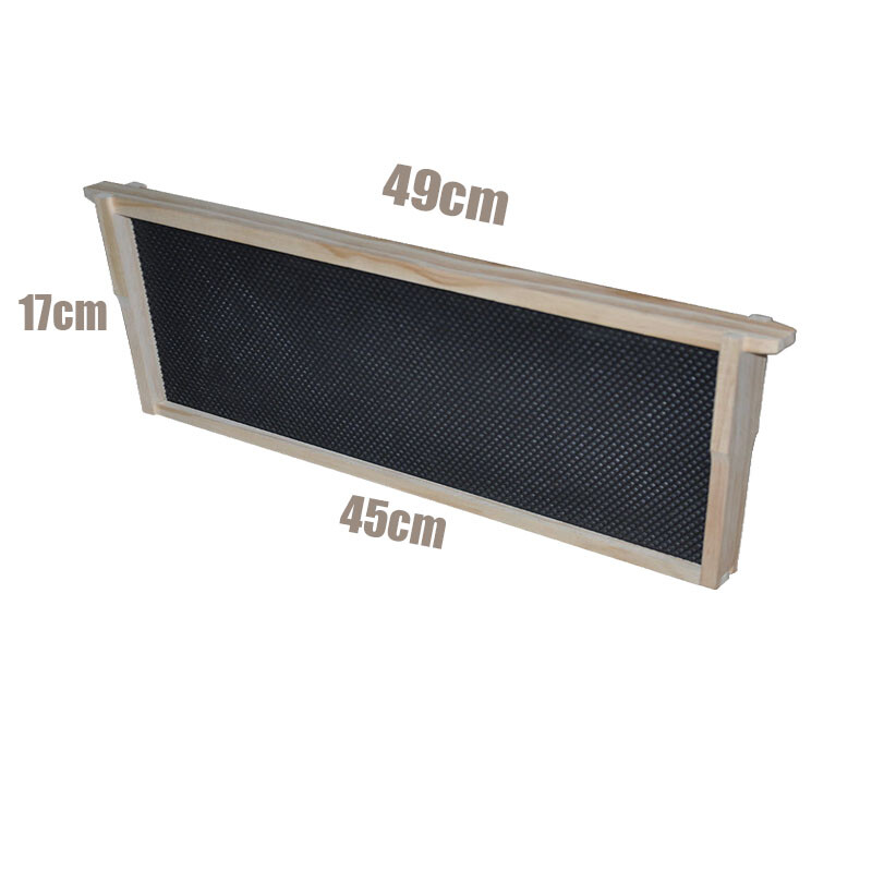 1 Layer Beehive Super Box Wax Langstroth Deep House + 10 Frames Beekeeping