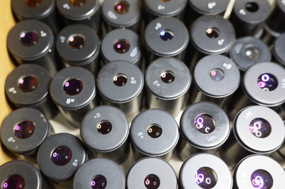 Eyepieces vor MBS microscope .