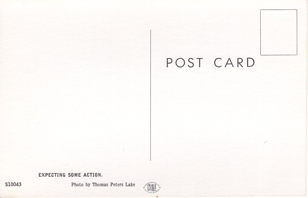 EXPECTING SOME ACTION - PC1429