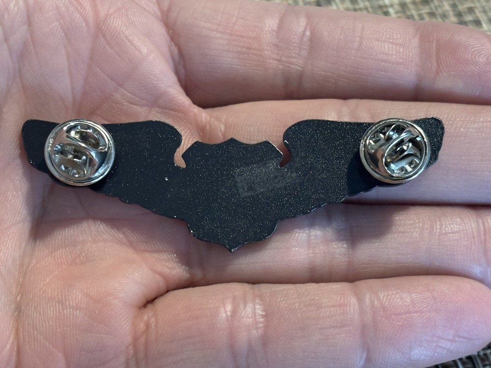 Private Pilot Wings Badge Pin Aviation Plane Pilot