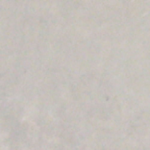 Walttools Colored Accent Release Powder for Stamping Concrete (Natural/Lt Gray)