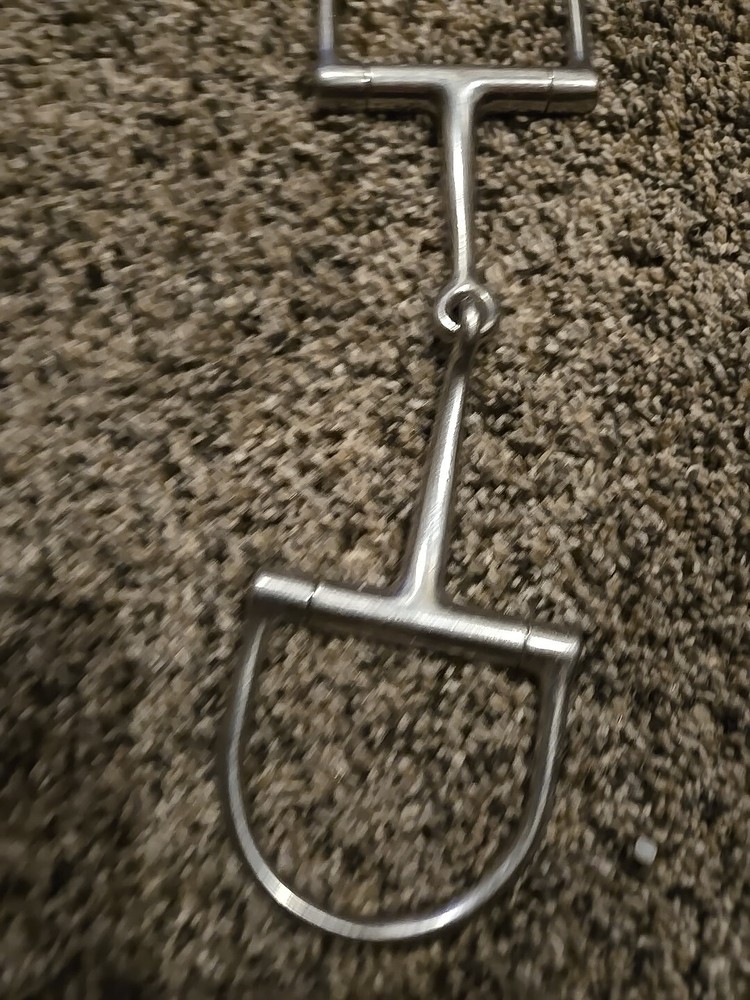 d ring snaffle bit