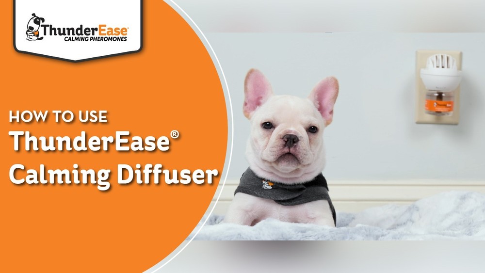 Dog Calming Pheromone Diffuser Refill | Reduces Anxiety, Stress Barking & Chewin