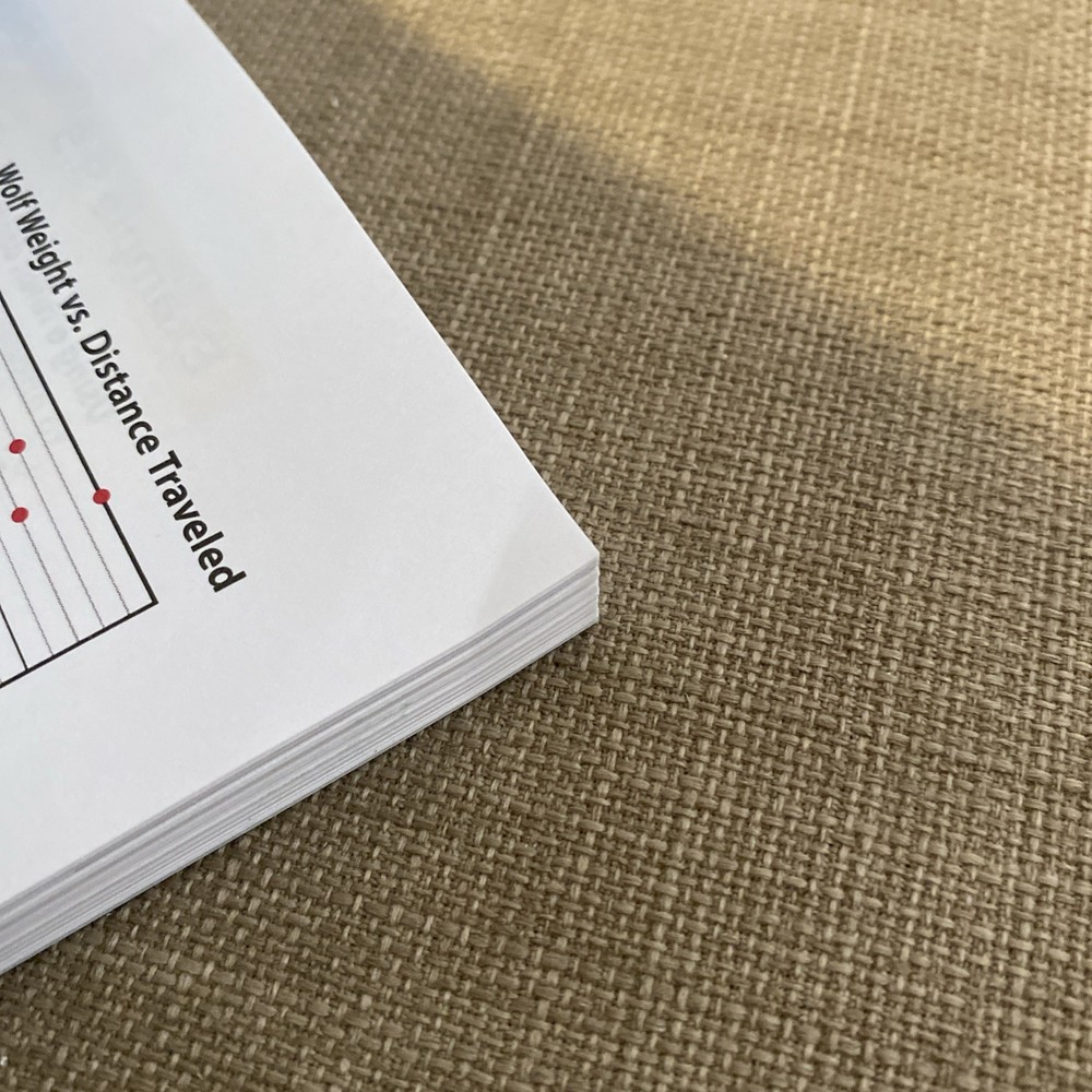 Abeka Pre-Algebra Work-text 8th grade 4th edition 319155