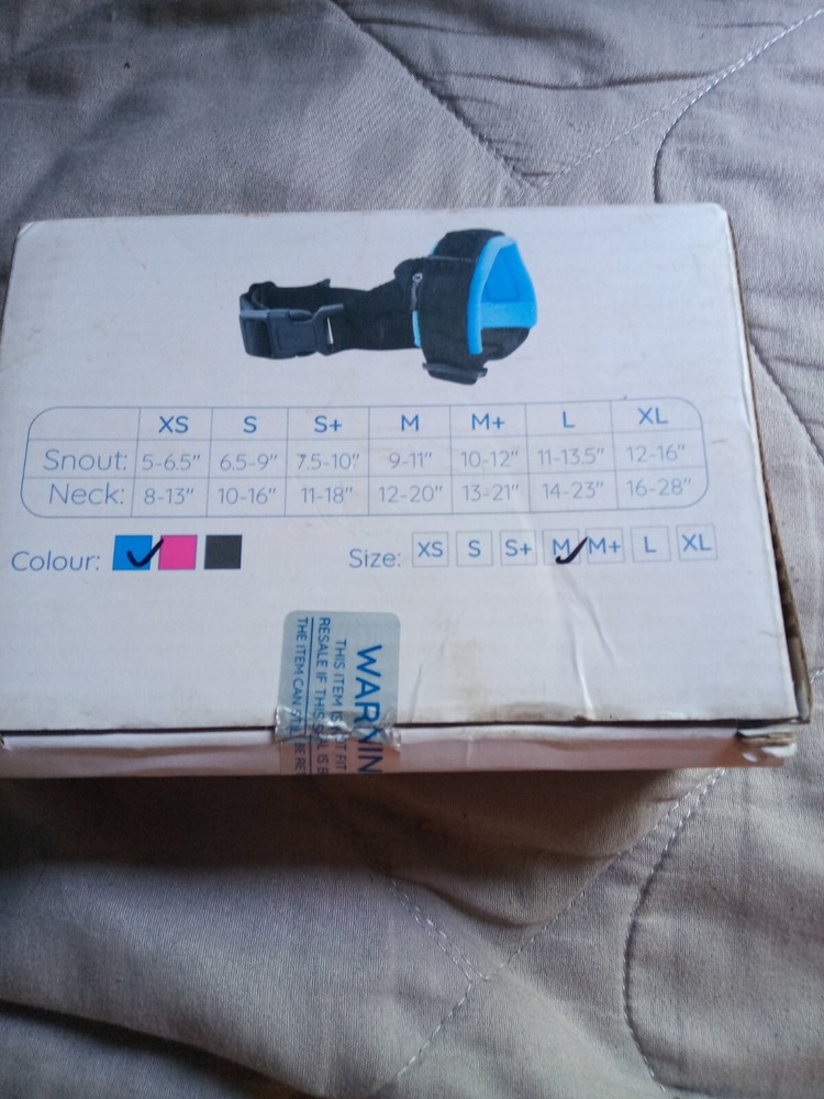 dog muzzle blue medium sized dog