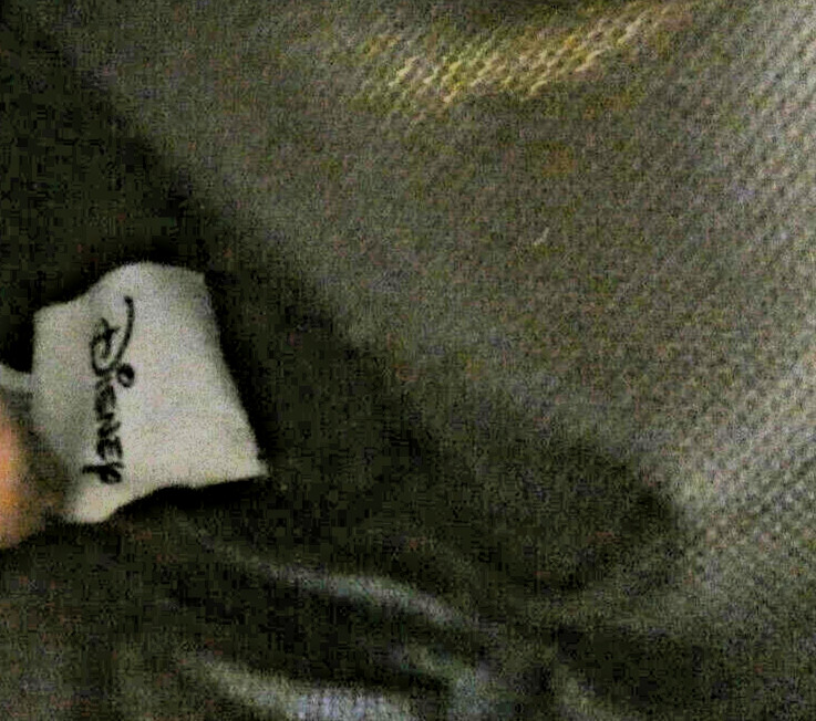 Mickey Mouse Cosmetic Bag White & Removable Pouch Disney Travel Case Makeup NWT