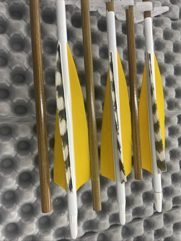 3 rivers Traditional Only Carbon Arrows
