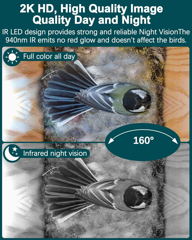 Smart Wireless Bird House with 2K Camera, Solar Power & Night Vision