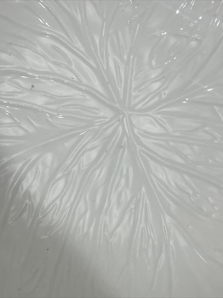 White Cabbage Leaf Ceramic Serving Bowl Hand Painted 12” D