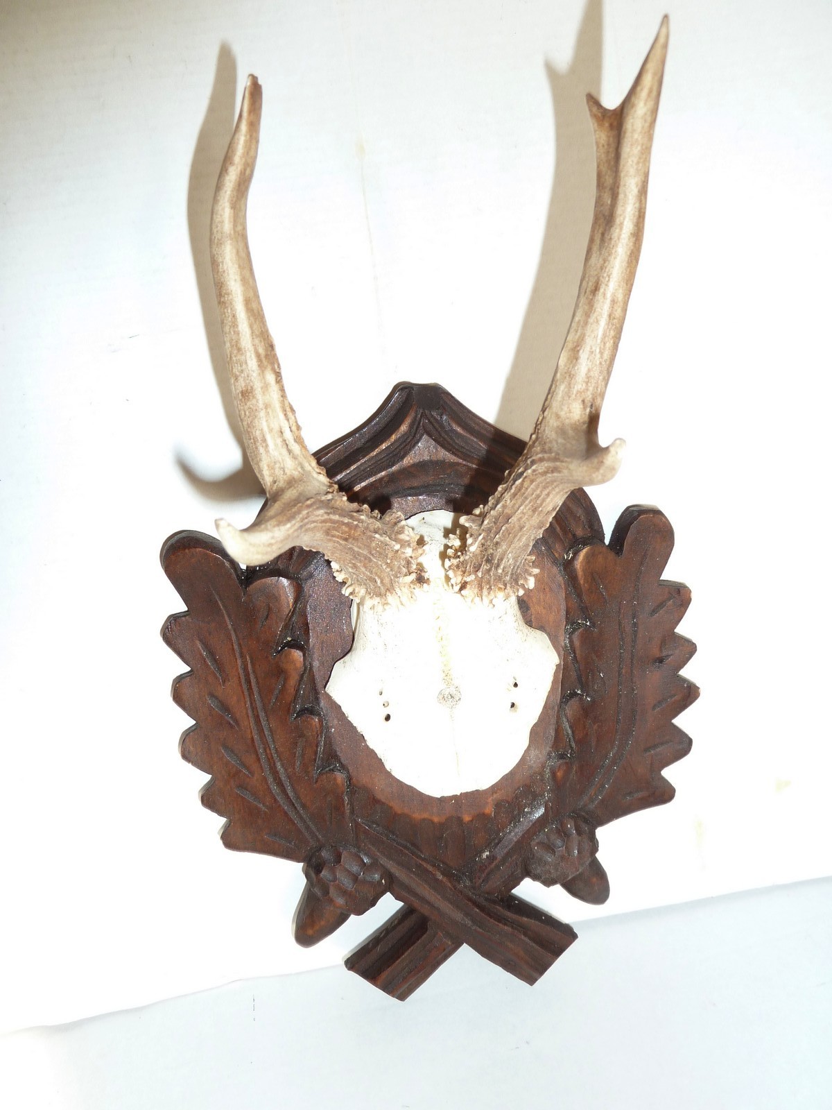PAIR BLACK FOREST CARVED ROE DEER ANTLERS MOUNTS