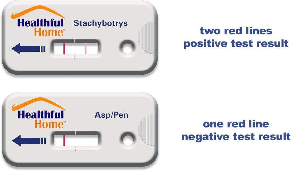 Instant 5-Minute Mold Detection Kit – Aspergillus and Stachybotrys Inside