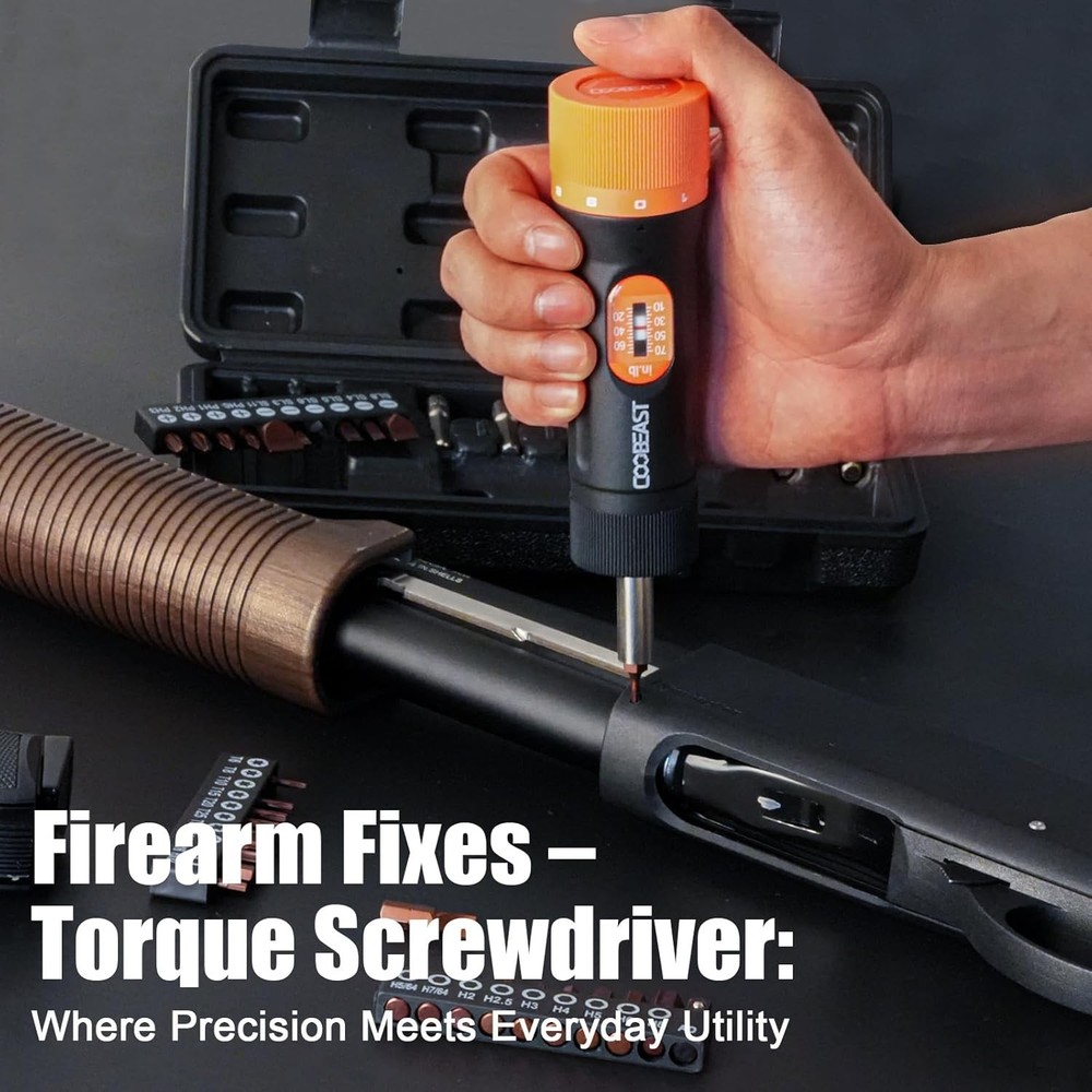 Precision Torque Wrench 10-70 In-lb with Case