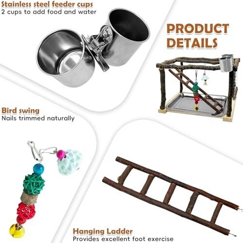 Bird Play Gym Stand for Parrots & Cockatiels - Wooden Perch, Climbing Ladders, C