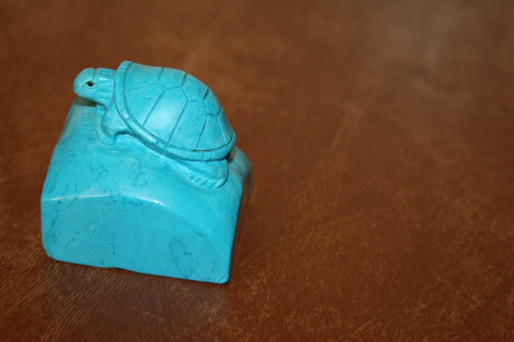 Turtle on a Rock