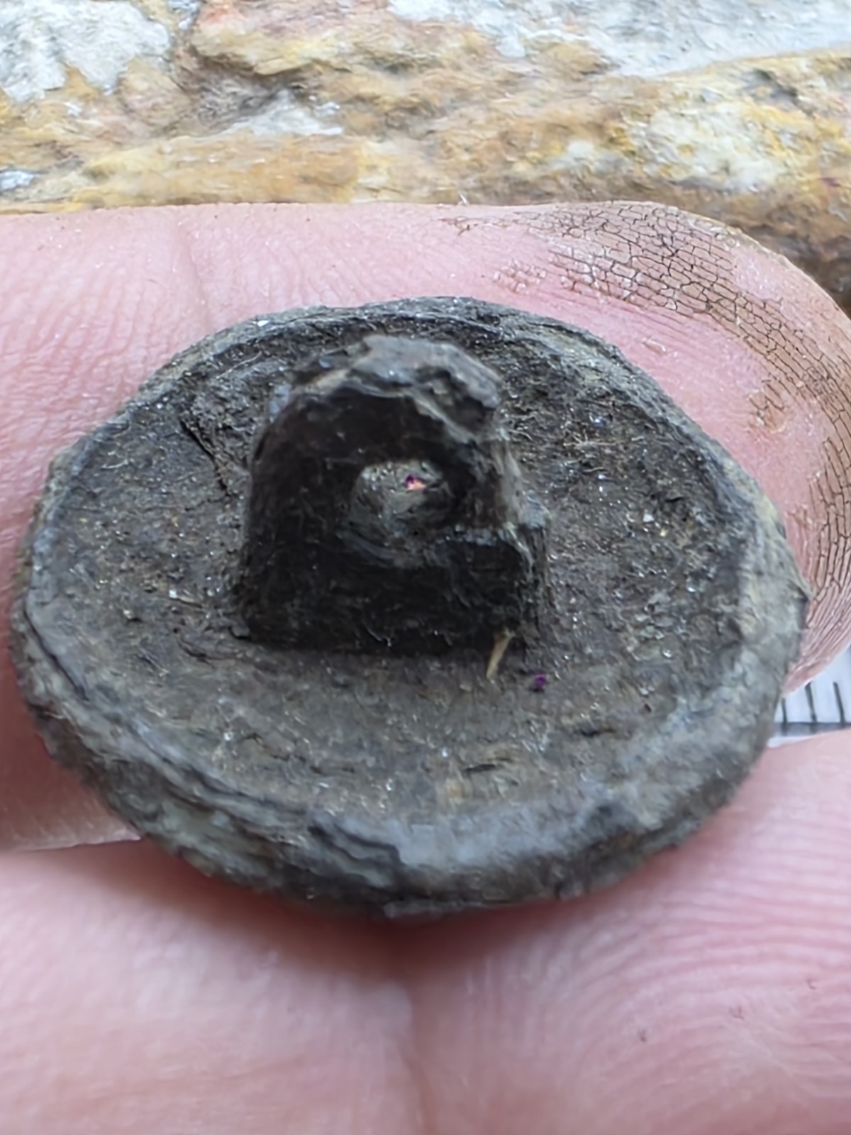 Mexico Spanish Colonial Military Button Pewter, Dug In Fuerte De Los Remedios