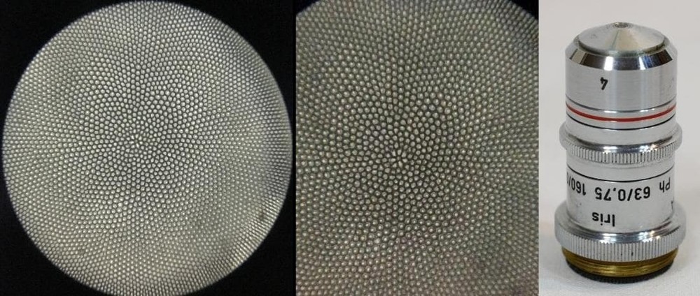 Carl Reichert's phase contrast microscope (BIOZET)