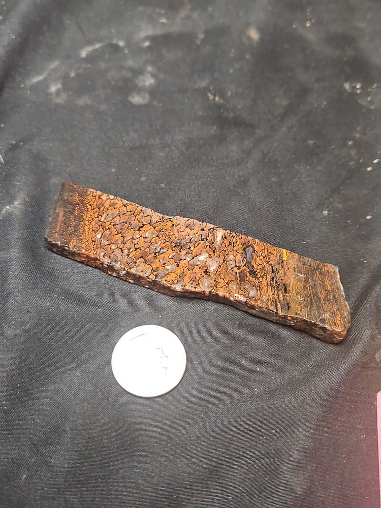Gem Bone W/ Crystallization Slab Specimen (51.9 Grams)