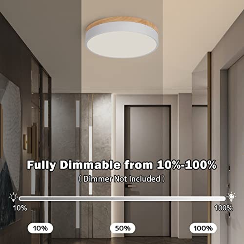 Modern Dimmable Flush Mount Ceiling Light, 2700K-6000K 5CCT 11.81" White