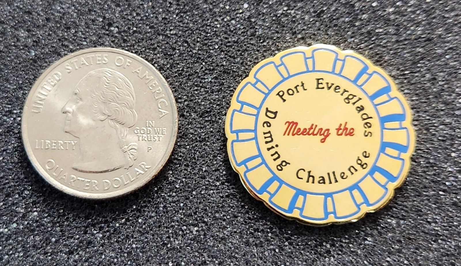 FPL Port Everglades Deming Challenge Pin