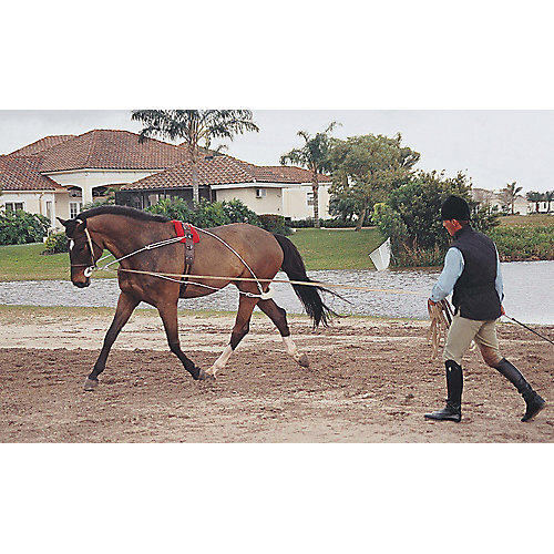 Pessoa Lunging System Horse