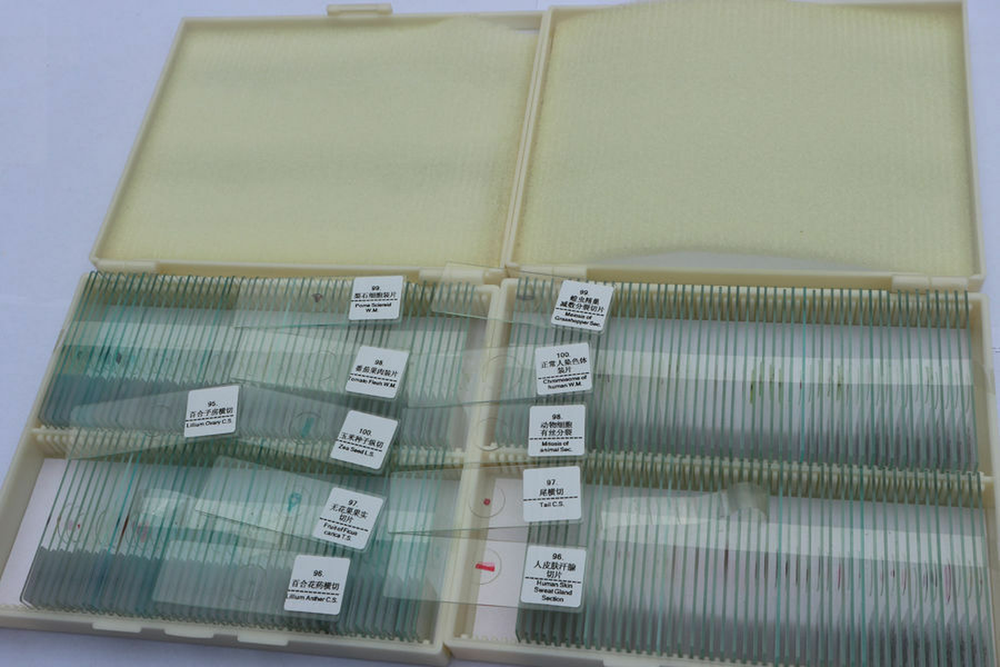 Prepared Microscope Slides Specimen Glass Set with Plastic Storage Box & Label