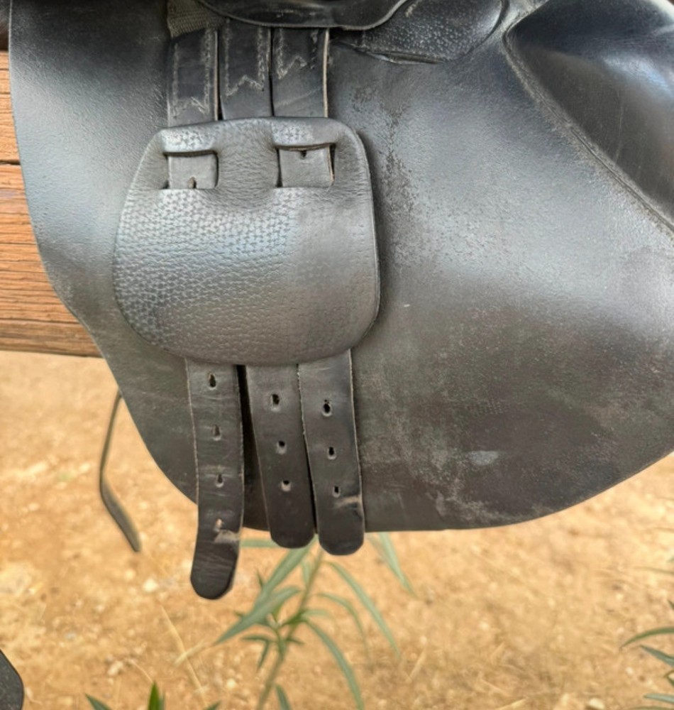 Prestige Appaloosa saddle