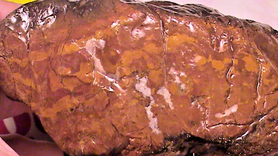 Chalcopyrite Script Jasper Agate, Natural Lapidary Rock, 3 LBS, 4 OZ, #300