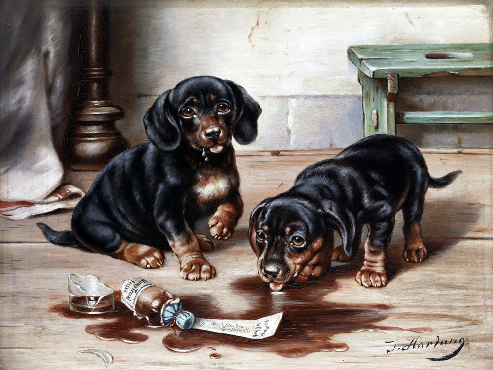 Two Dachshund Accent Tile Mural Kitchen Bathroom Wall Backsplash 8x6