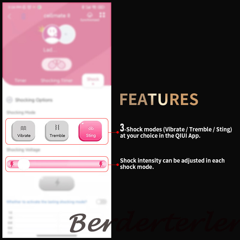 QIUI Bluetooth Male Chastity Device APP Remote Control Cage Ring Cellmate Lock