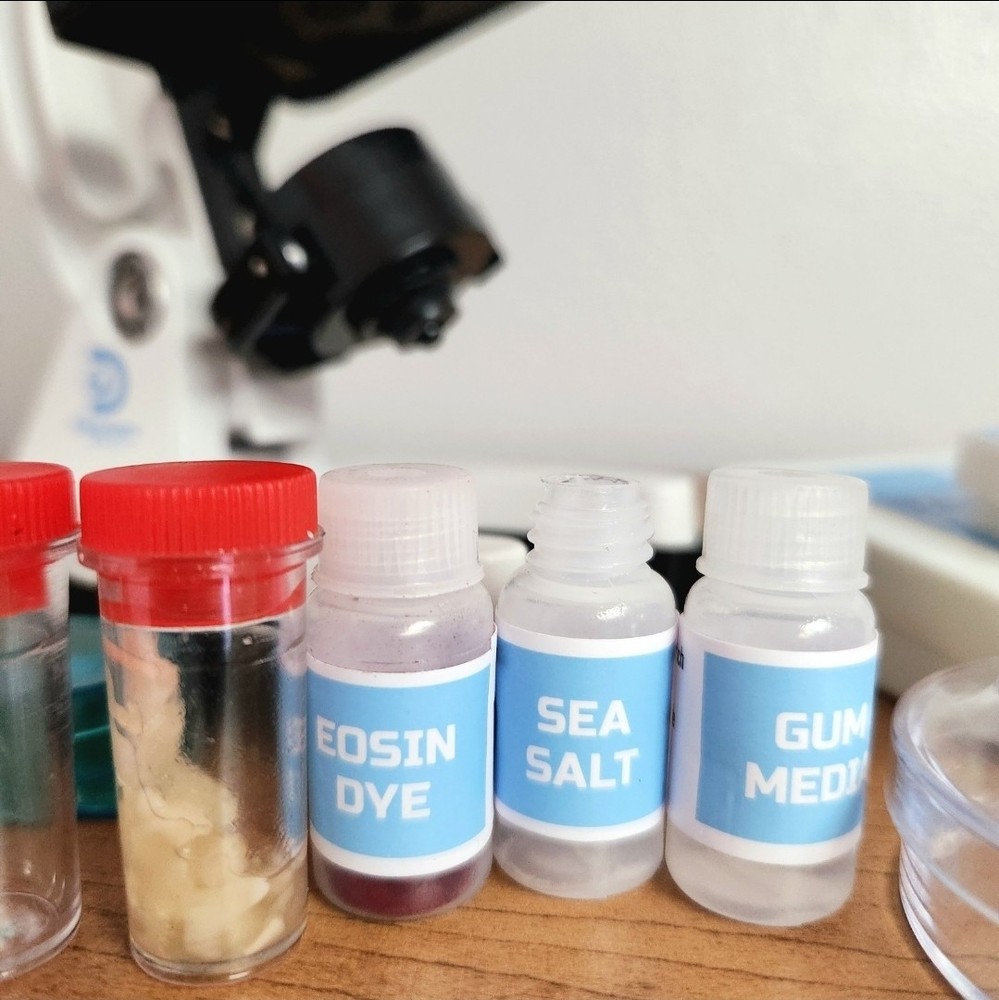 Discovery #Mindblown Microscope Set STEM Activity Slides Test Tubes Tools Pietri