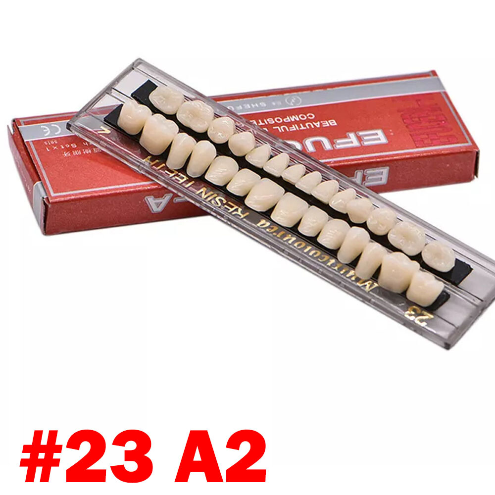 Dental Acrylic Resin Denture Shade A2 A3 Upper Lower Full Set False Teeth