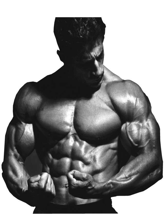 Libido enhancer - TRIBULUS TERRESTRIS EXTRACT - 3B - Better sexual functionality