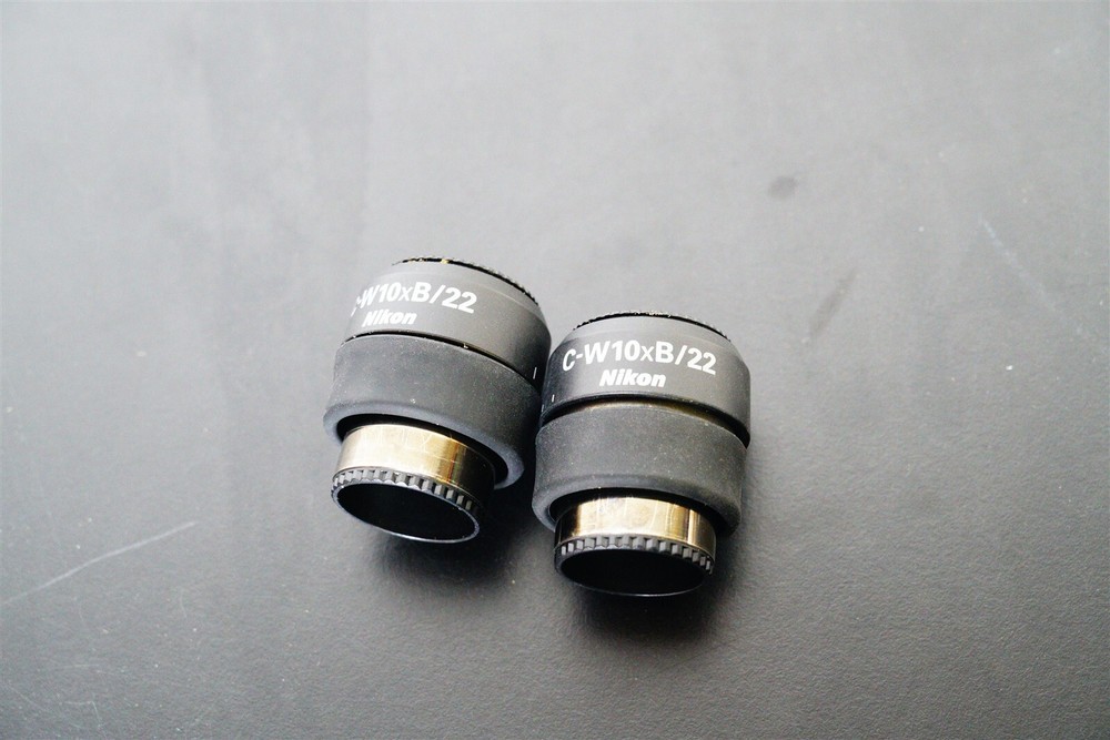 Nikon C-W10xB/22 Eyepieces (Pair)