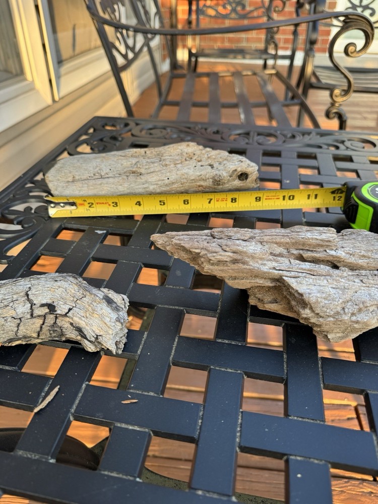 Driftwood
