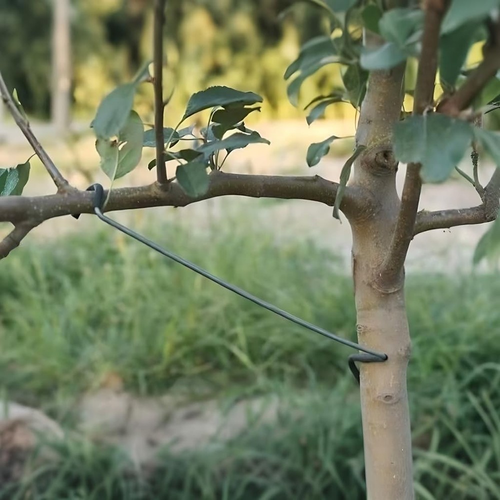 Fruit Tree Limb Spreader 10pcs14inch Branch PullerNew Fruit Branch Spreader P