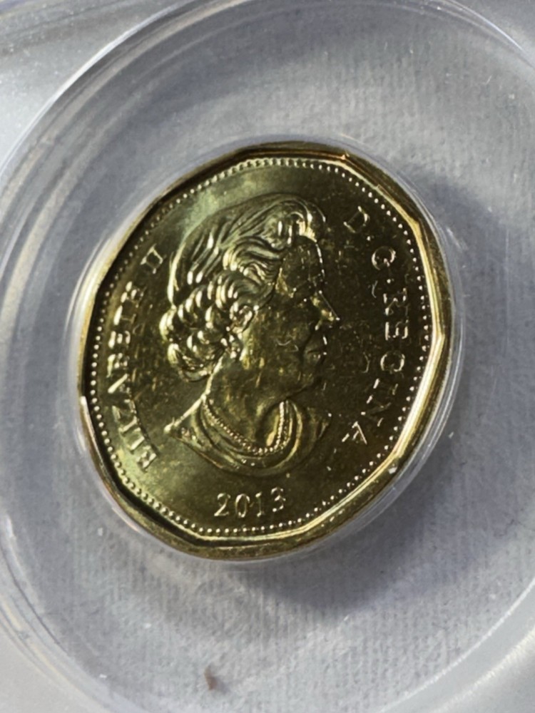 2013 Canada 1 Dollar Loonie Graded MS 66 by ANACS Double Die Reverse