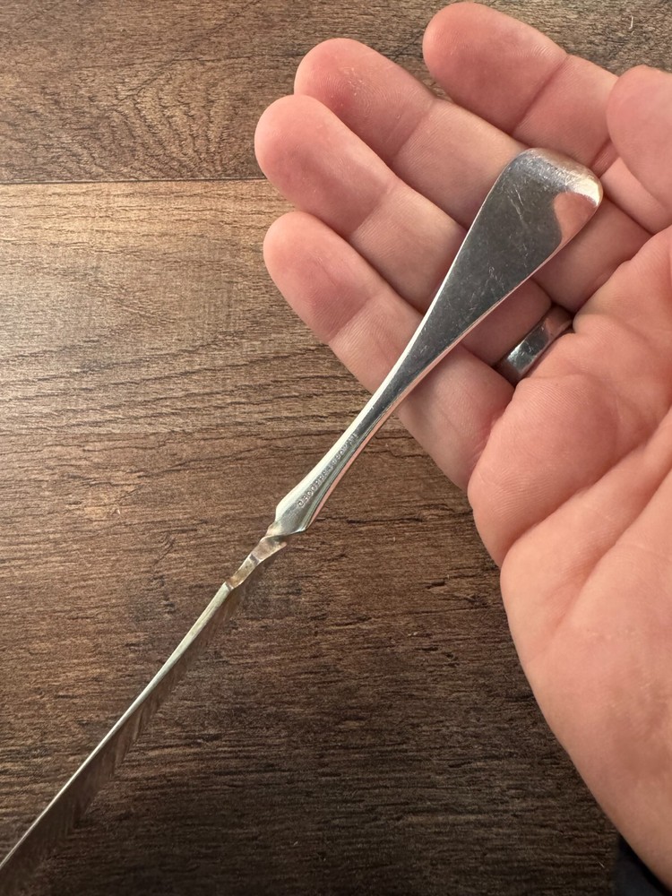 C. Rogers & Bros Ruby/Canton Pattern Master Butter Knife Silverplated