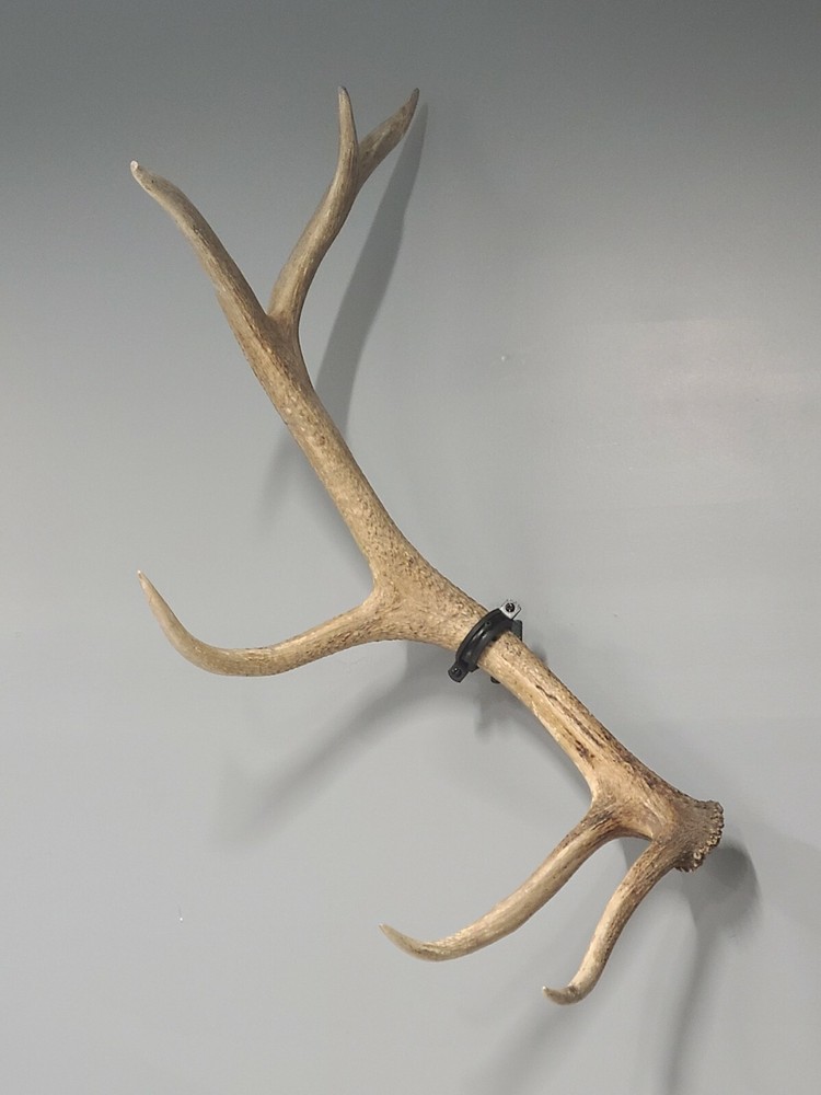 Elk Shed Mounting Clamp (two tone)