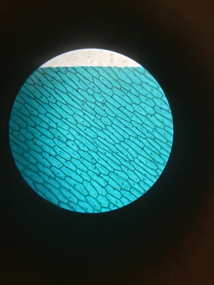 Microscopy Bundle