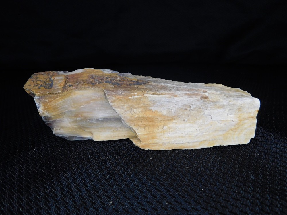 Opalized Petrified Wood Stick 1lb.